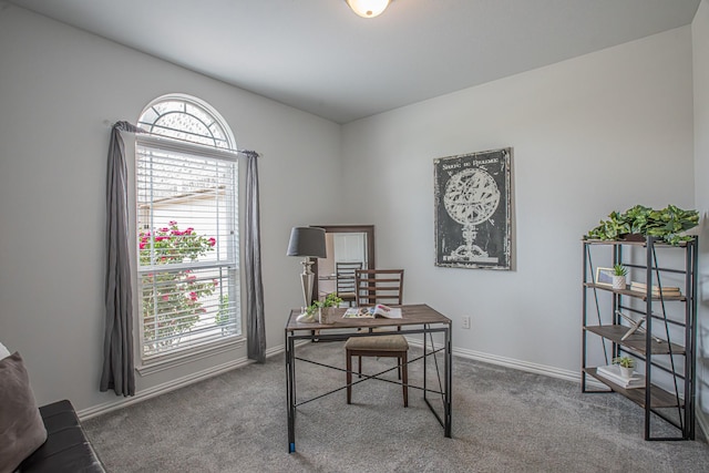 office with baseboards and carpet floors