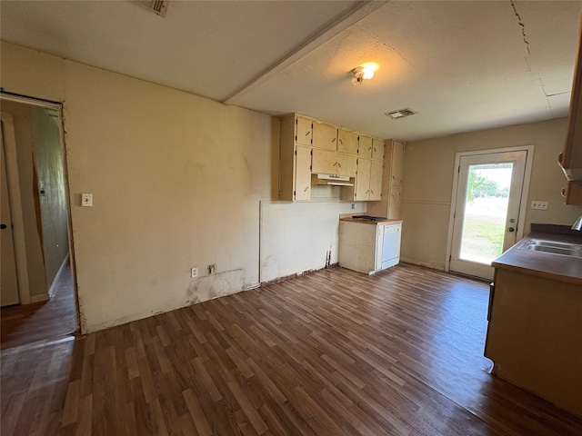 215 Fair Park St, Riesel, TX 76682 - kitchen featuring under cabinet range hood, a sink, and dark wood-type flooring