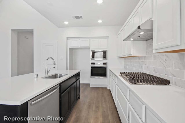 3705 Hickory St, Sherman, TX 75092 - kitchen featuring ventilation hood, light countertops, visible vents, a sink, and appliances with stainless steel finishes