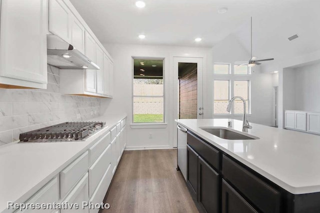 3705 Hickory St, Sherman, TX 75092 - kitchen featuring light countertops, a sink, appliances with stainless steel finishes, and exhaust hood