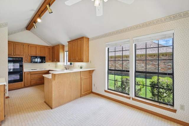 kitchen featuring track lighting, light countertops, black appliances, and a healthy amount of sunlight