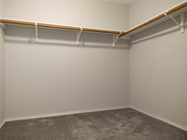 920 Kendall Dr, Arlington, TX 76001 - walk in closet with dark colored carpet