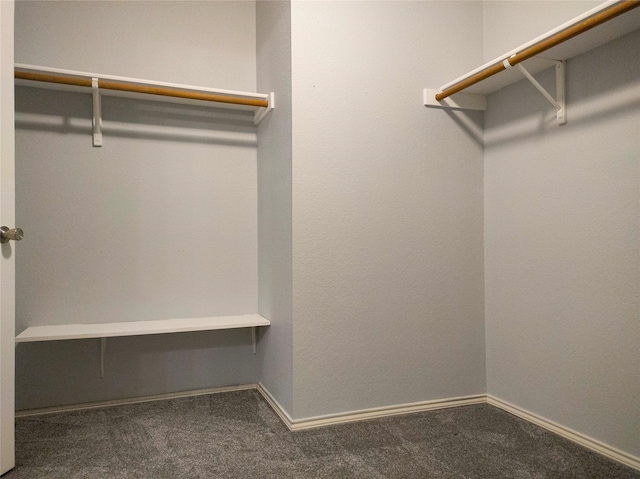 920 Kendall Dr, Arlington, TX 76001 - spacious closet with carpet flooring