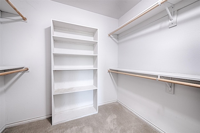 351 Peachtree Ln, Princeton, TX 75407 - spacious closet with carpet