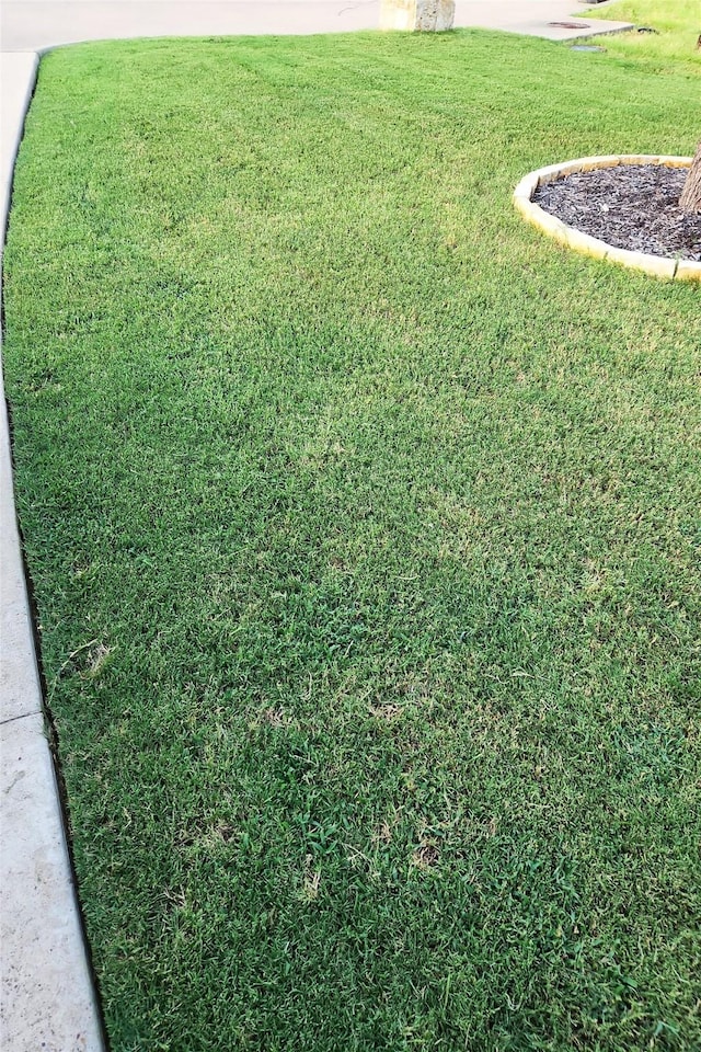 351 Peachtree Ln, Princeton, TX 75407 - view of yard