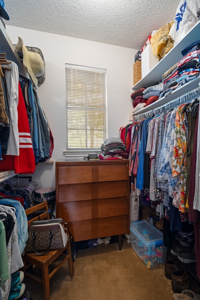 walk in closet with carpet floors