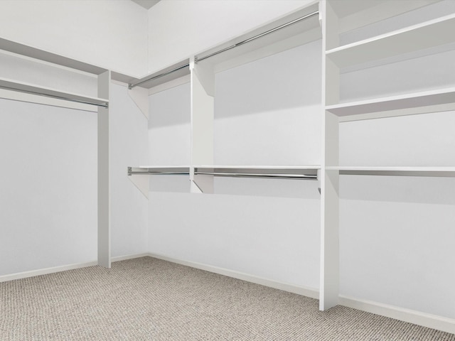2908 Ballater Ct, The Colony, TX 75056 - walk in closet with carpet