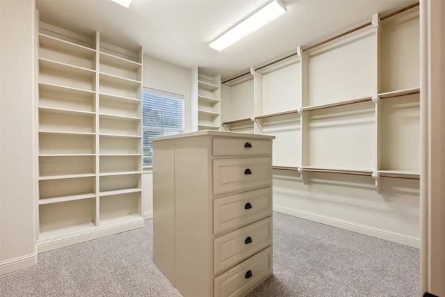 spacious closet featuring carpet floors