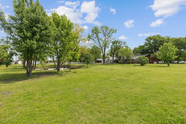 view of yard