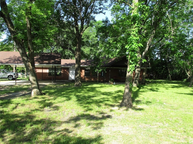 view of yard featuring a detached carport