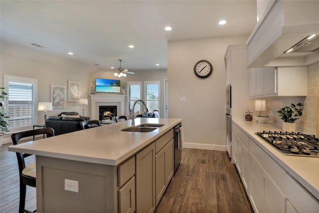 kitchen featuring a sink, ceiling fan, stainless steel appliances, ventilation hood, and dark wood finished floors