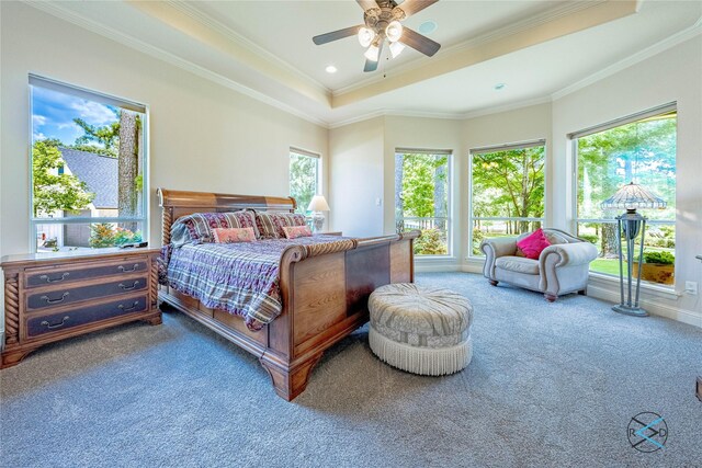 8650 Toler Pt, Larue, TX 75770 - bedroom with a ceiling fan, ornamental molding, carpet flooring, and a raised ceiling