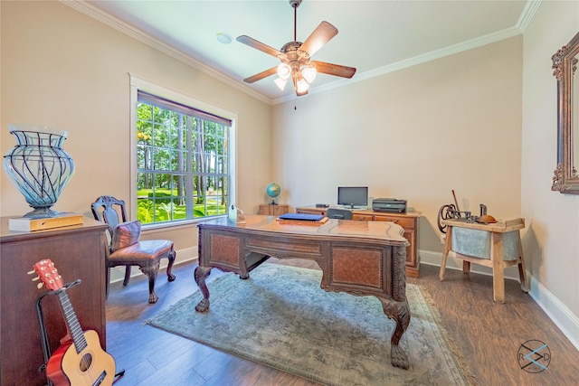 8650 Toler Pt, Larue, TX 75770 - office space featuring a ceiling fan, baseboards, ornamental molding, and wood finished floors