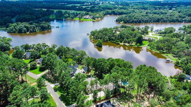 8650 Toler Pt, Larue, TX 75770 - birds eye view of property featuring a view of trees and a water view