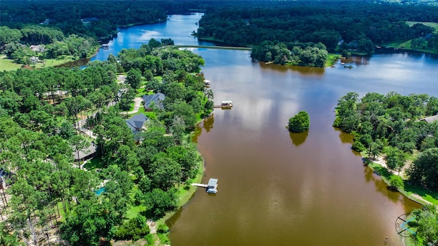 8650 Toler Pt, Larue, TX 75770 - bird's eye view with a wooded view and a water view