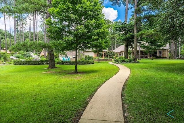 8650 Toler Pt, Larue, TX 75770 - surrounding community with a lawn