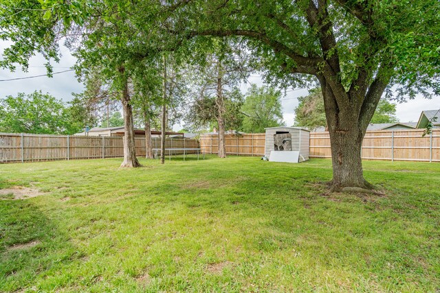 view of yard featuring a fenced backyard, an outdoor structure, a shed, and a trampoline