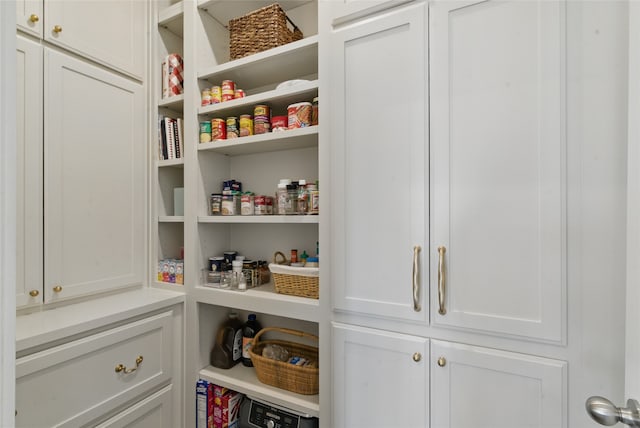 579 Point Vista Dr, Aledo, TX 76008 - view of pantry
