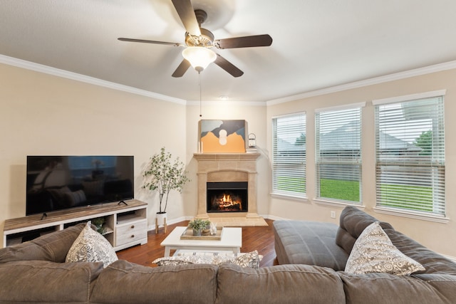 living room with crown molding, a premium fireplace, ceiling fan, and dark wood-type flooring