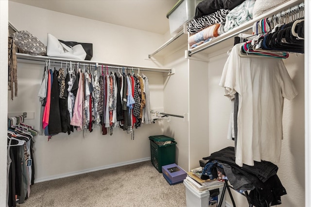 spacious closet with carpet