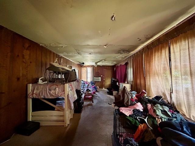 misc room with wooden walls and carpet
