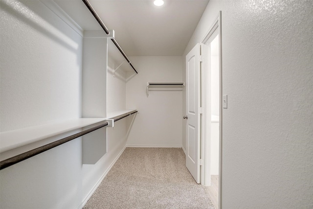 walk in closet with light colored carpet