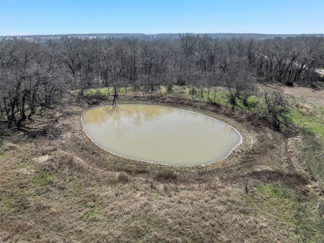 TBD Fm 2027, Lott, TX 76656