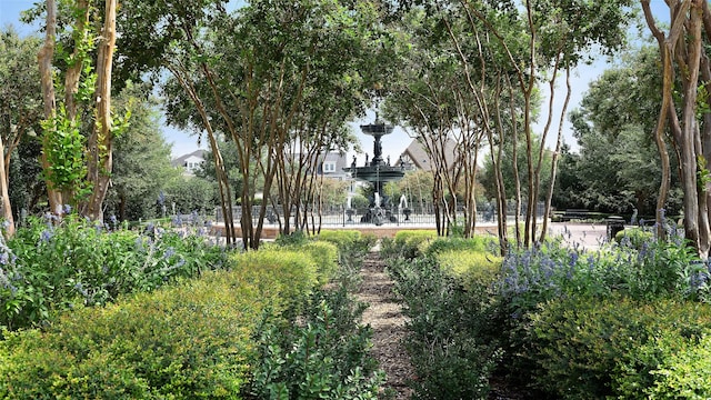 view of property's community