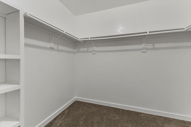 walk in closet featuring dark carpet