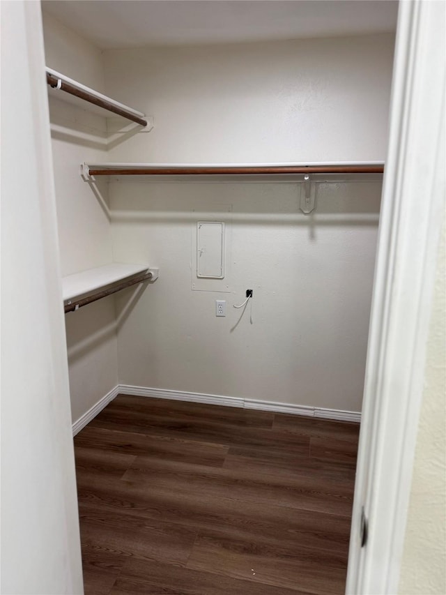 spacious closet featuring dark wood finished floors