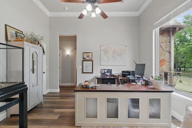 home office with ornamental molding, baseboards, a ceiling fan, and dark wood-style floors