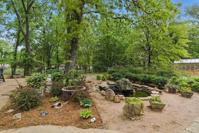view of yard