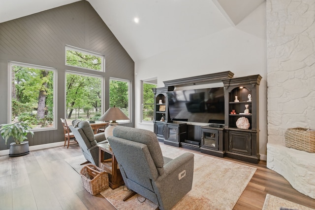 living area featuring wood finished floors and high vaulted ceiling