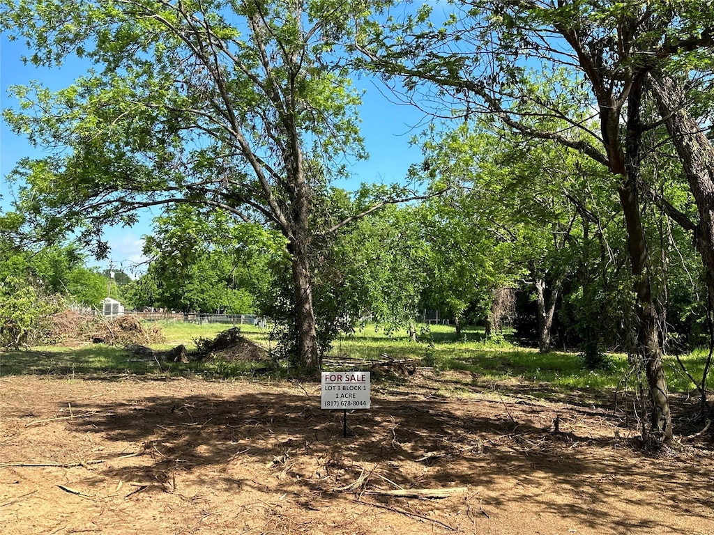 TBD Pecanwood Ct Lot 3, Mansfield, TX 76063