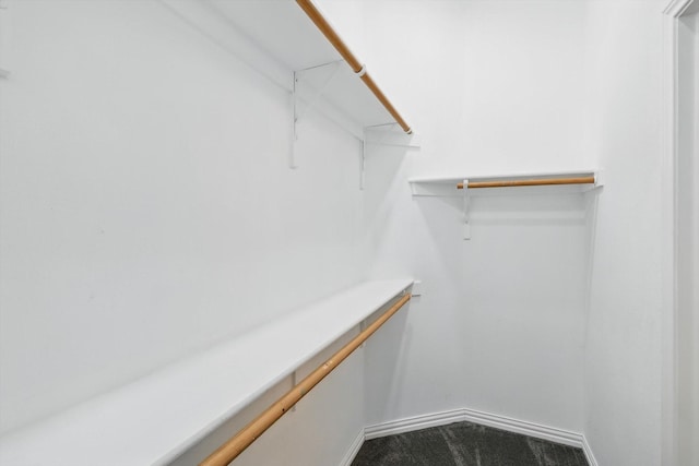 spacious closet with carpet