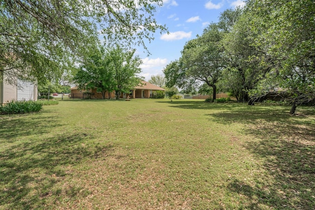 view of yard