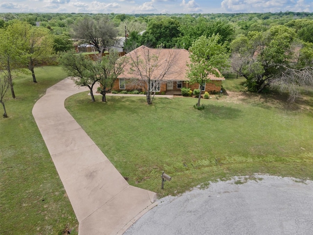 drone / aerial view