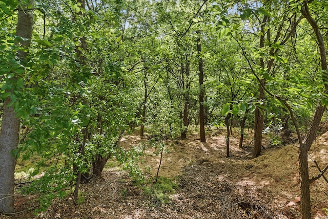 view of nature