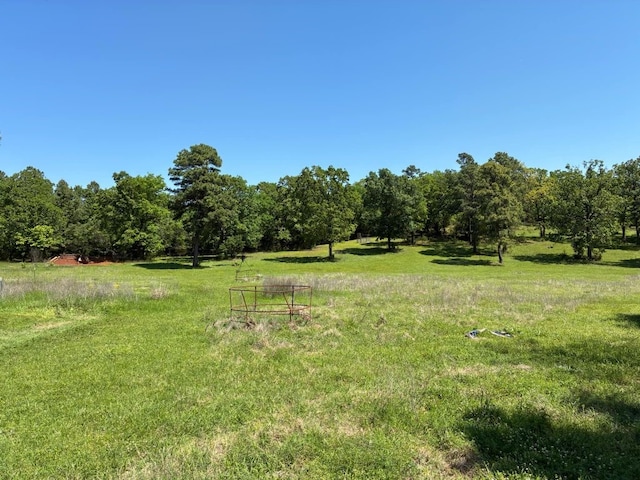 450 Vz County Road 4814, Ben Wheeler, TX 75754 - view of yard
