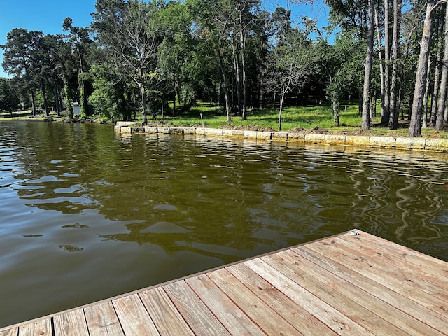 21581 Joe Paul Ln, Chandler, TX 75758