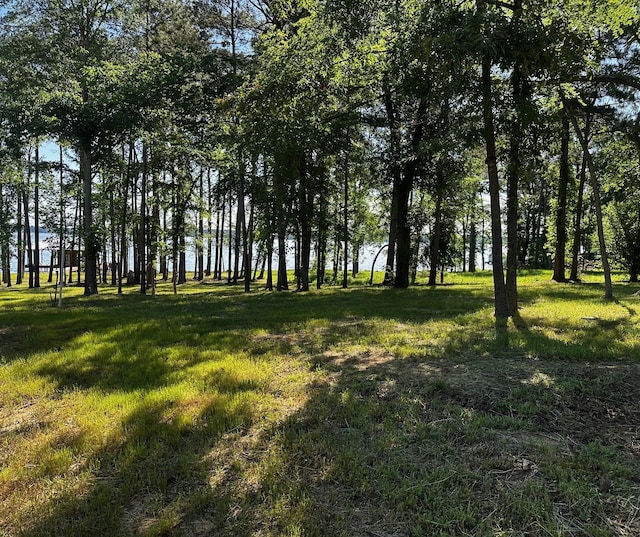 21581 Joe Paul Ln, Chandler, TX 75758