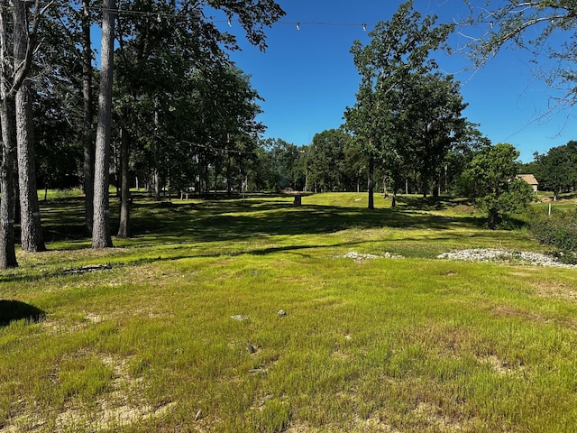 21581 Joe Paul Ln, Chandler, TX 75758