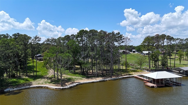 21581 Joe Paul Ln, Chandler, TX 75758