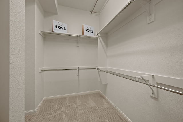 walk in closet with carpet floors
