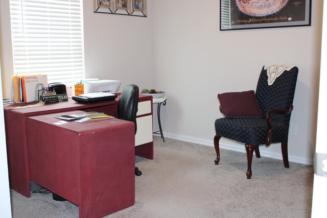 2267 County Road 4010, Decatur, TX 76234 - home office featuring carpet floors and baseboards