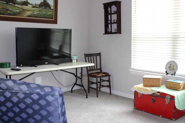 2267 County Road 4010, Decatur, TX 76234 - office space with carpet and baseboards