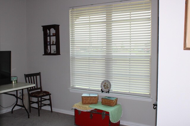 2267 County Road 4010, Decatur, TX 76234 - carpeted office space with baseboards and plenty of natural light