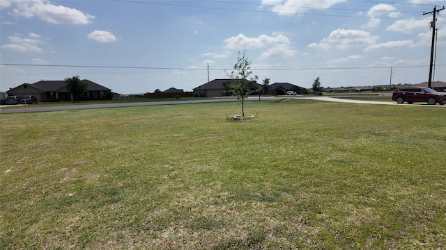 2267 County Road 4010, Decatur, TX 76234 - view of grassy yard
