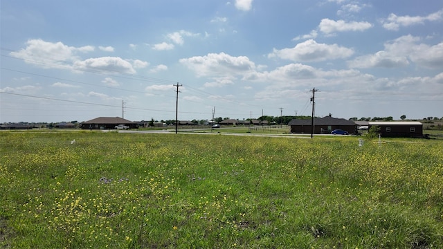2267 County Road 4010, Decatur, TX 76234 - view of yard