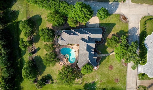 bird's eye view